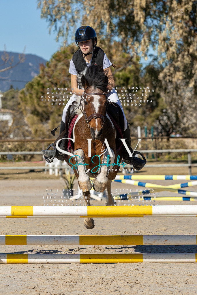 IMG_8448 | s-jay-photography - Realisiert mit Pictrs.com