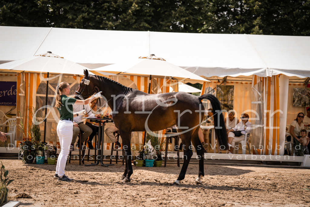 1.Fr00121 | Leoni Ertmer Photography - Realisiert mit Pictrs.com