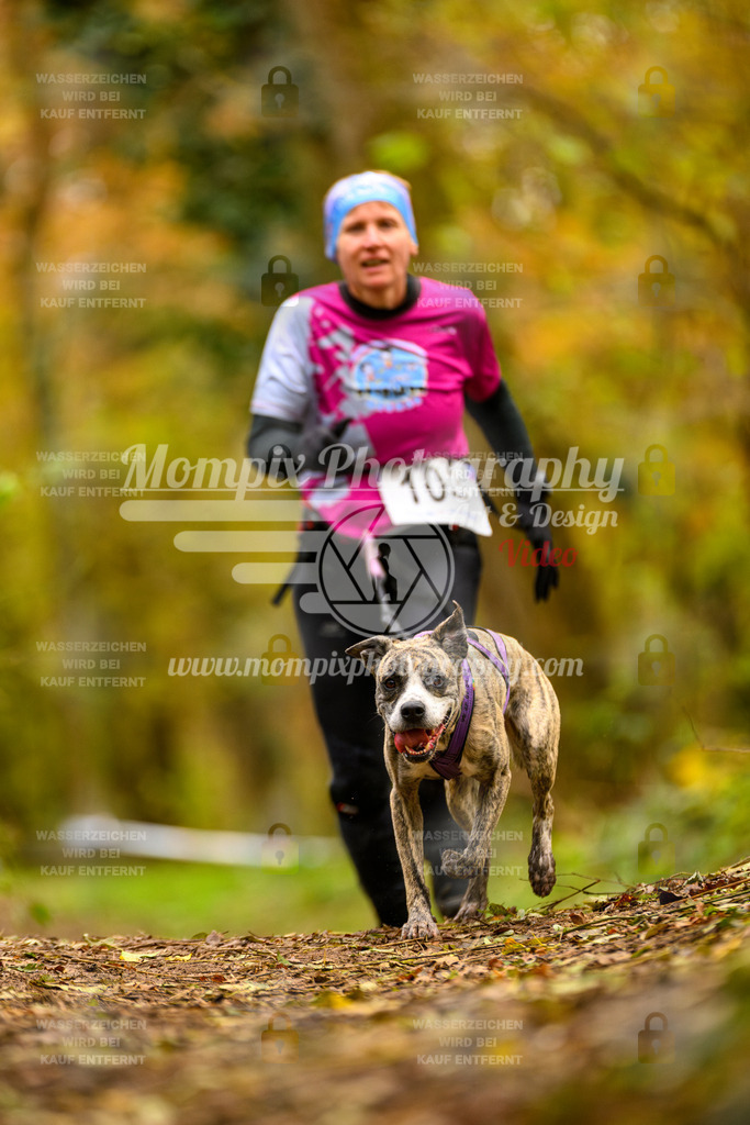 MompixPhotography_Bischwiller24_SA_Canicross-184 | PayLife