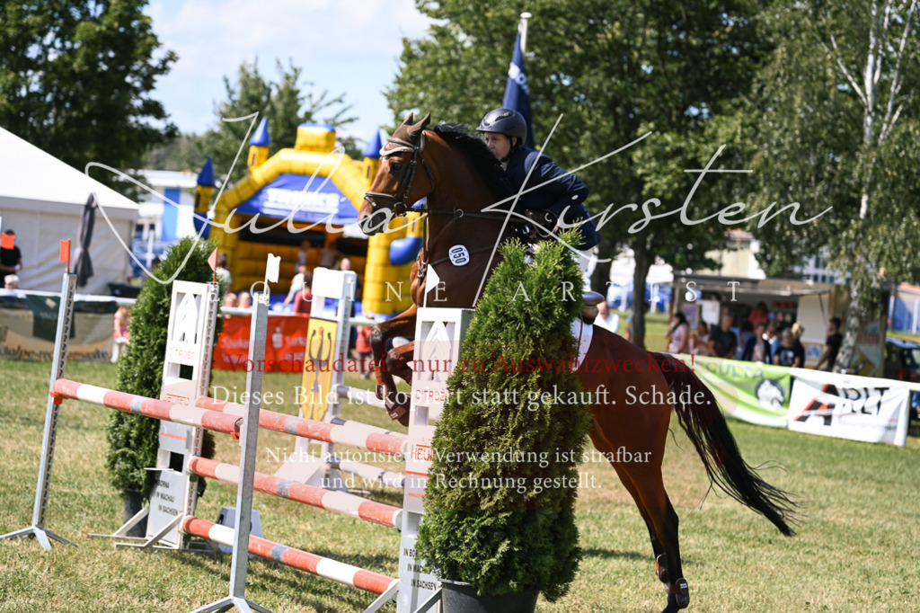DSC_0431 | Pferde- und Turnierfotografie in Westsachsen. Pferdeportraits, Auftragszeichnungen und intuitive Kunst.
