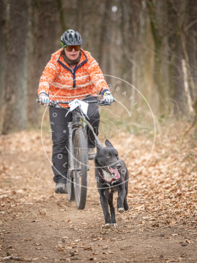 Pfotenfotografie_DV3A6436 | Hundefotografie, Tierfotograf, Pfotenfotografie, Fotoshooting Hund, Hunde Portrait, Hundesport, Hundeportraits, Heideshooting, Hunde, Sportfotograf, Hundefotograf, Turnierhundsport, THS,  - Realisiert mit Pictrs.com