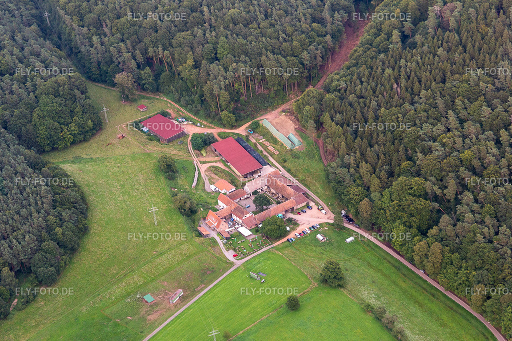 Bärenbrunnerhof | Luftbild: Bärenbrunnerhof in Oberschlettenbach im Bundesland Rheinland-Pfalz in Deutschland. Foto: IMG_128462.jpg vom 21.08.2021 durch ©2025 Werner Riehm fly-foto.de/copyright - Realisiert mit Pictrs.com
