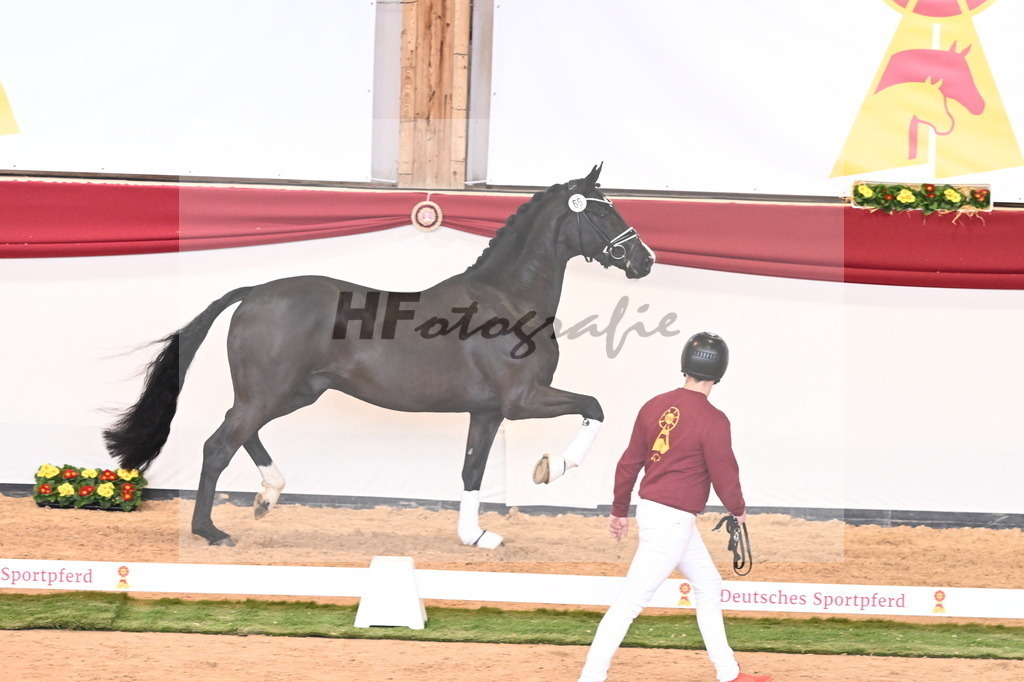 Kat.-Nr. 66 v. Taurus_Beckmann_2240873 | hf-fotografie - Realisiert mit Pictrs.com