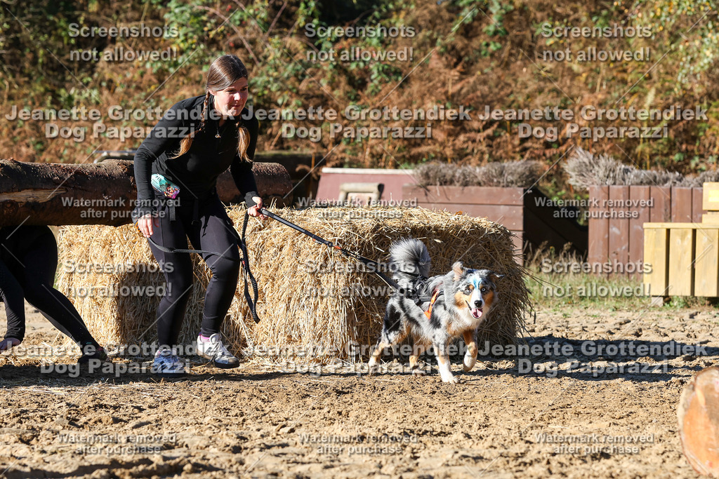 Dog Paparazzi - Strongdog 10-25-2029 | Dog Paparazzi Jeanette Grottendiek Fotografie & Videografie - Realisiert mit Pictrs.com