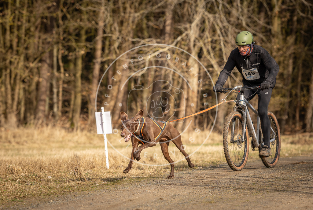 DV3A4352 | Hundefotografie, Tierfotograf, Pfotenfotografie, Fotoshooting Hund, Hunde Portrait, Hundesport, Hundeportraits, Heideshooting, Hunde, Sportfotograf, Hundefotograf, Turnierhundsport, THS,  - Realisiert mit Pictrs.com