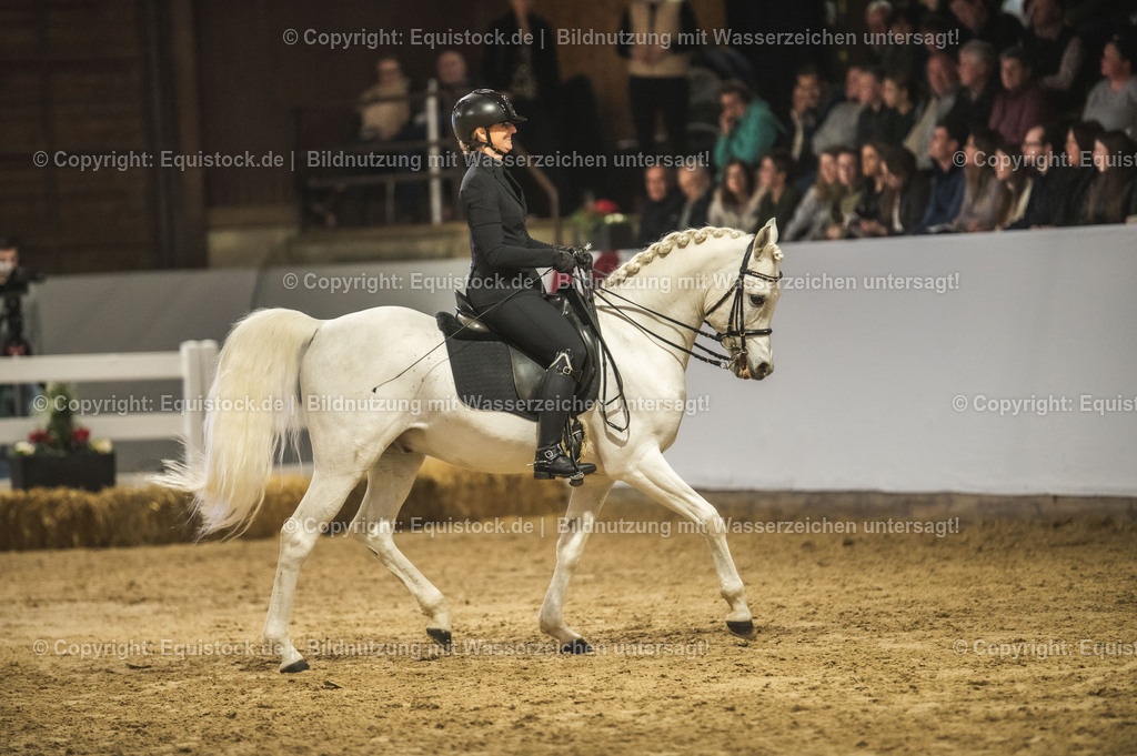 20240302_Hengstvorstellung_Marbach_TOMsPiC_1069-2 | equistock
