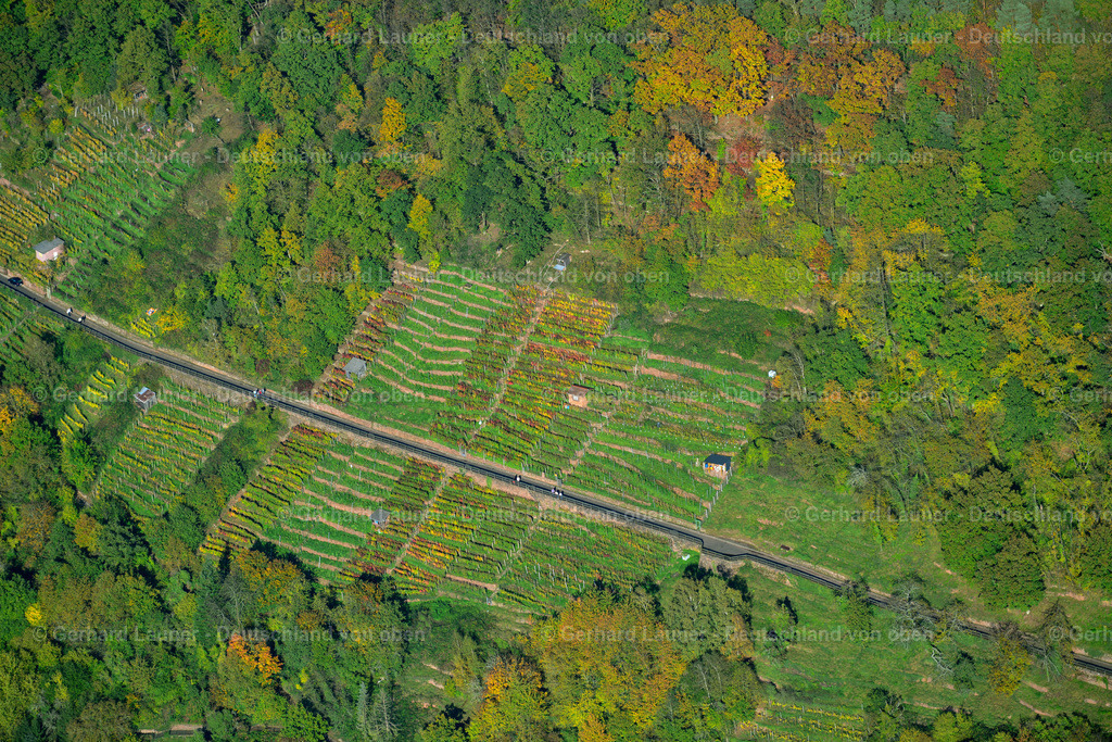 3491161 | Weinberge bei Klingenberg