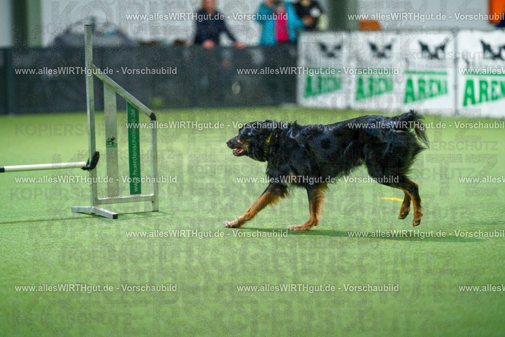 7R503966 | Professionelle Tierfotografie in Mönchengladbach von Daniel Wirth (allesWIRTHgut). Liebevolle & natürliche Bilder von Hunden & Katzen für unvergessliche Erinnerungen.