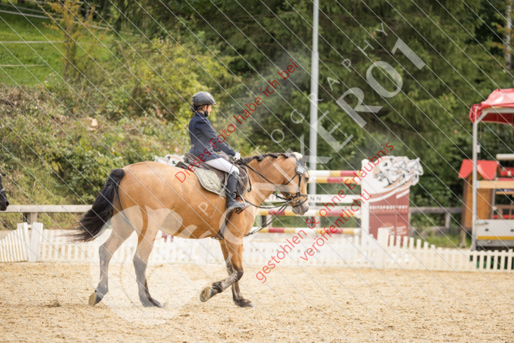 CON_0270 | Sport-, Event- und Tierfotos in Profiqualität. Einfach auswählen, bestellen und herunterladen. Dein Moment – perfekt festgehalten.