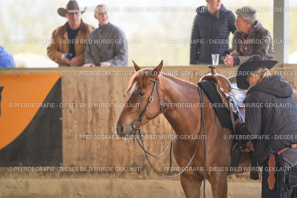 DSC07101 | Pferdegrafie