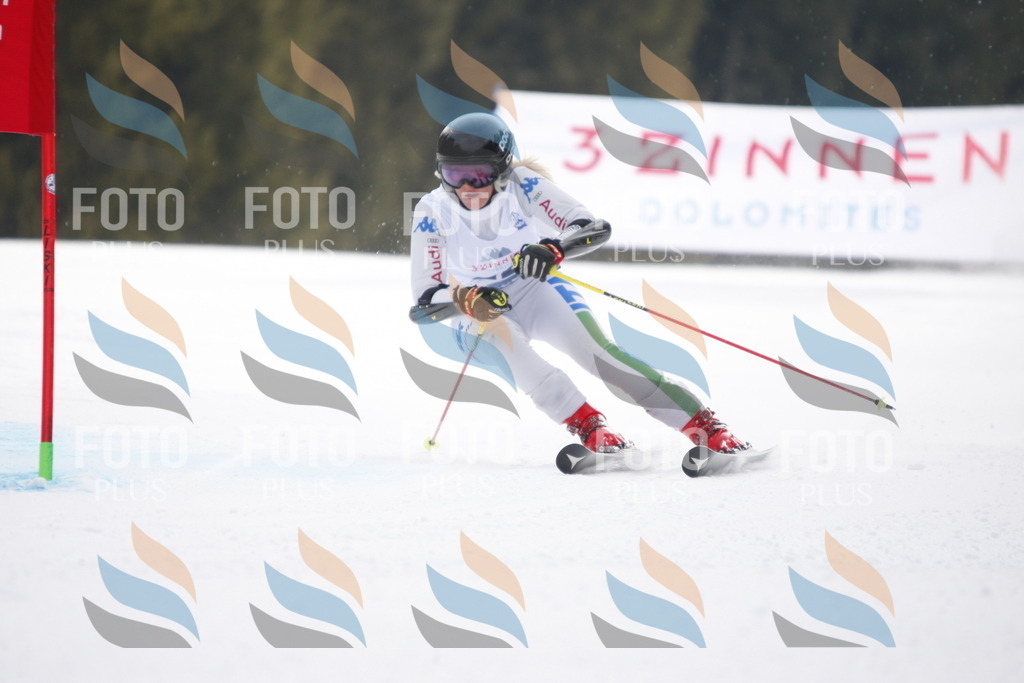 D4891 | holidayphoto