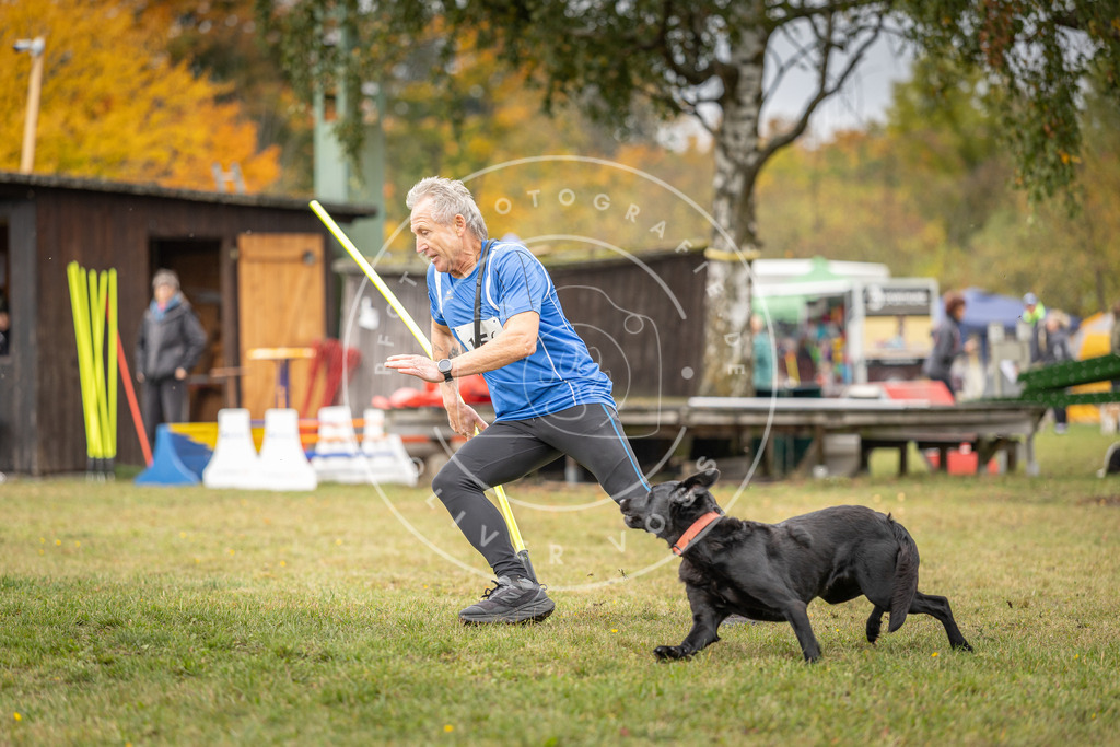 Pfotenfotografie_DV3A5394 | Hundefotografie, Tierfotograf, Pfotenfotografie, Fotoshooting Hund, Hunde Portrait, Hundesport, Hundeportraits, Heideshooting, Hunde, Sportfotograf, Hundefotograf, Turnierhundsport, THS,  - Realisiert mit Pictrs.com