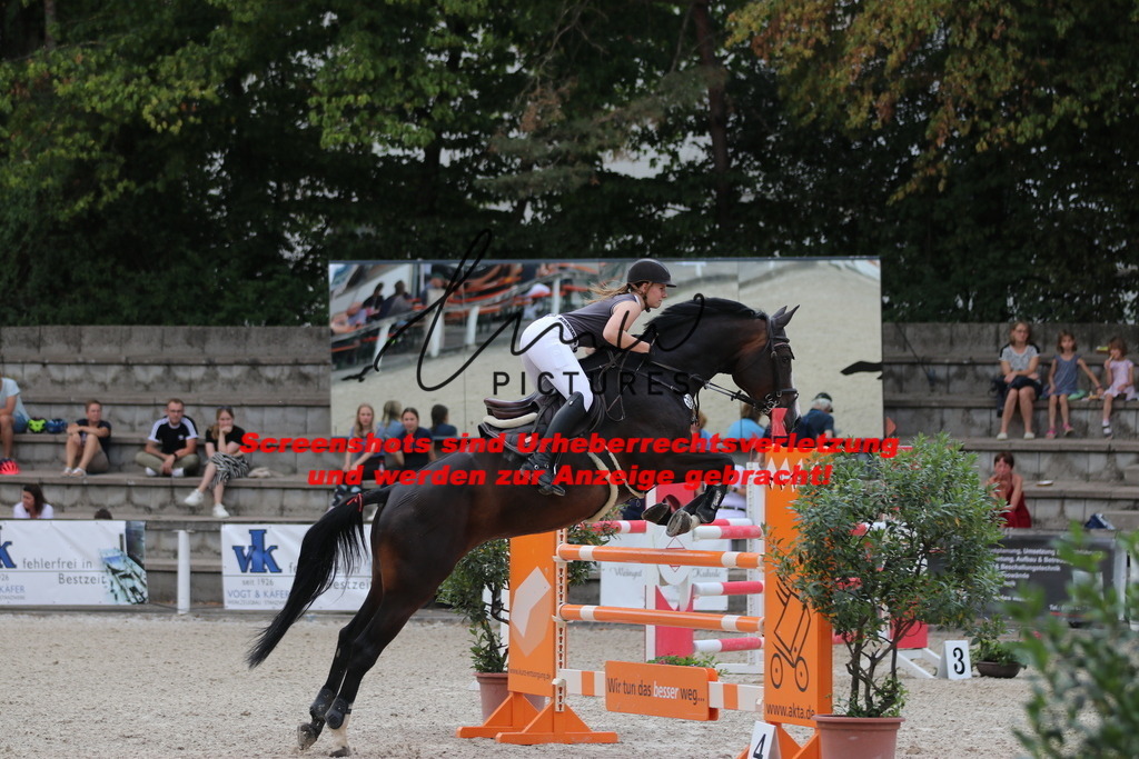 IMG_0363 | lmwpictures - Realisiert mit Pictrs.com