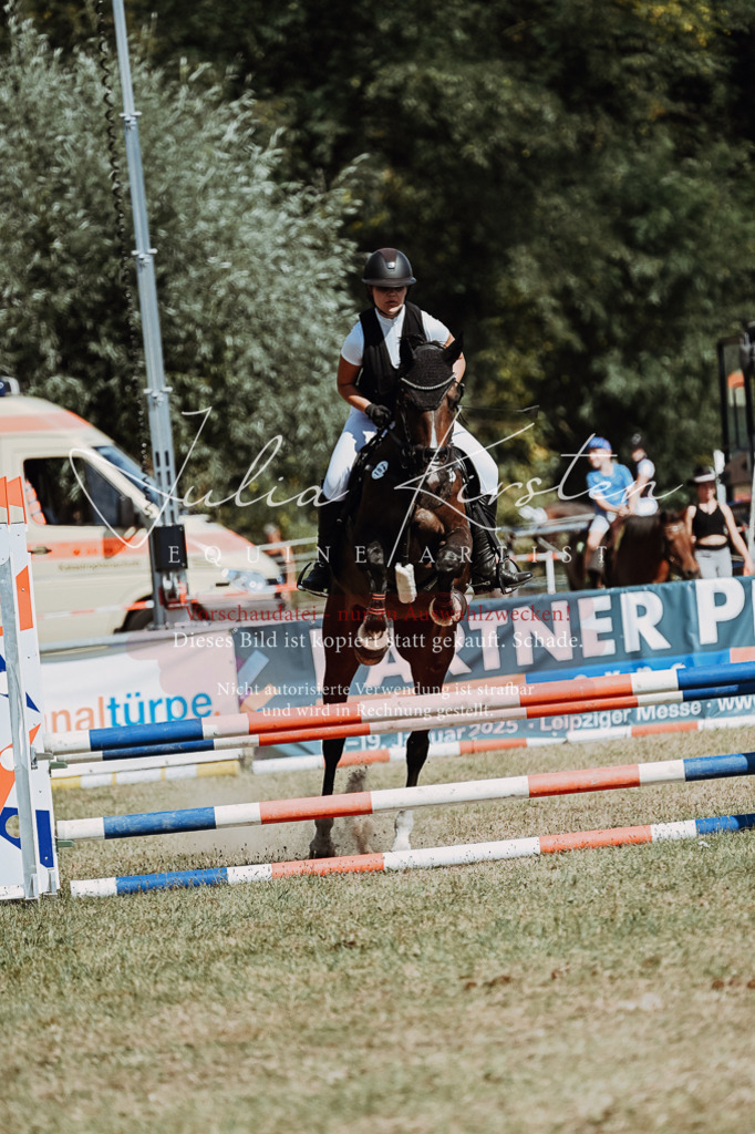 DSC_9854 | Pferde- und Turnierfotografie in Westsachsen. Pferdeportraits, Auftragszeichnungen und intuitive Kunst.