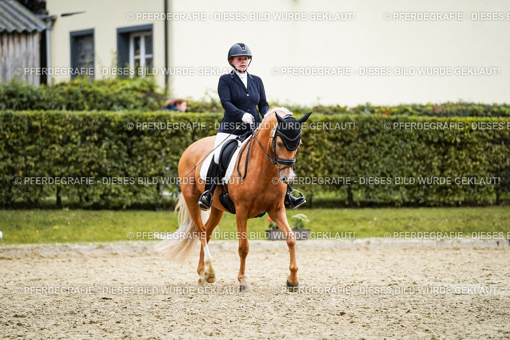 DSC00714 | Pferdegrafie