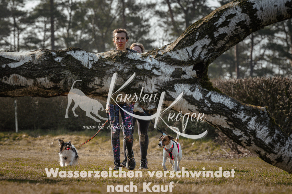 1007_ZZ91007 | kk-dogfotos