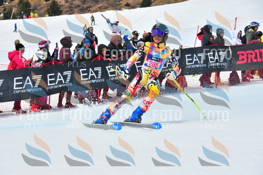 DSC_6410 | holidayphoto