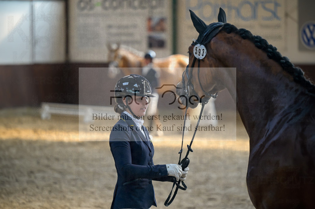 Reitturnier Voxtrup | Entdecke hochwertige Reitturnierfotos von Foto Oger. Professionell, emotional und authentisch – jetzt Lieblingsmomente im Shop bestellen.Deutschlandweite Turnierfotografie. - Realisiert mit Pictrs.com