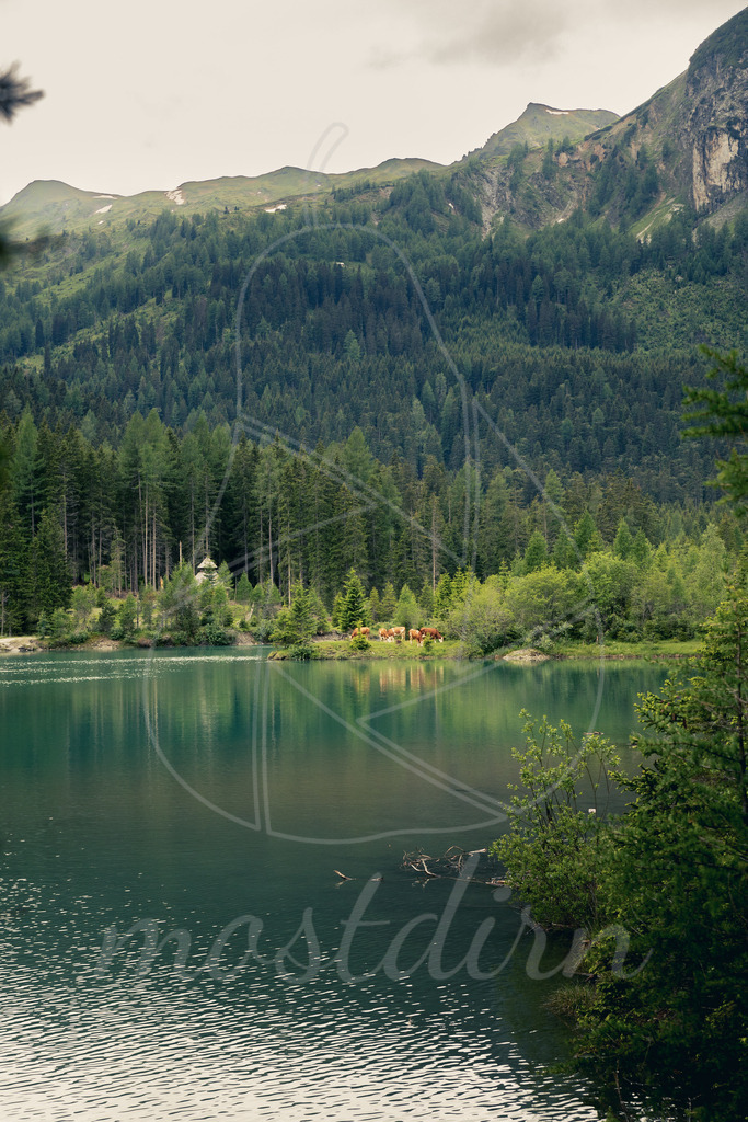 Riedingtal | Ihre Fotografin im Lungau, ihre Fotografin im Mostviertel, Wandbilder Onlineshop, Imagefotos für Ihr Unternehmen,  - Realisiert mit Pictrs.com