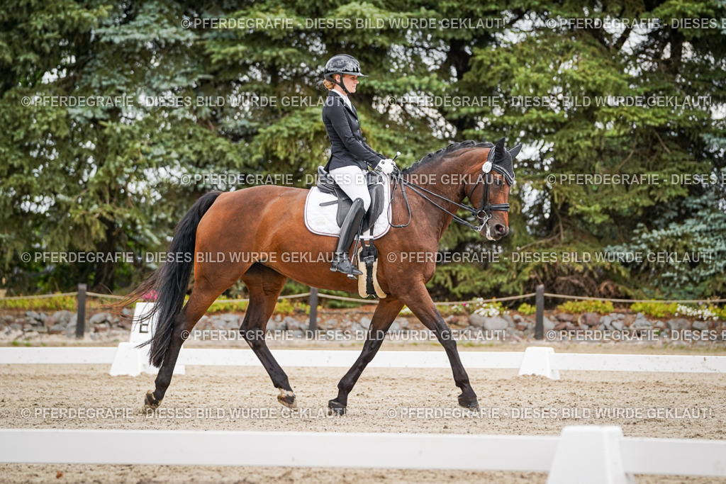 DSC04490 | Pferdegrafie