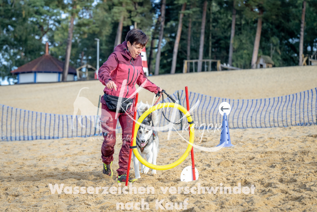 0953_ZZ93013 | kk-dogfotos