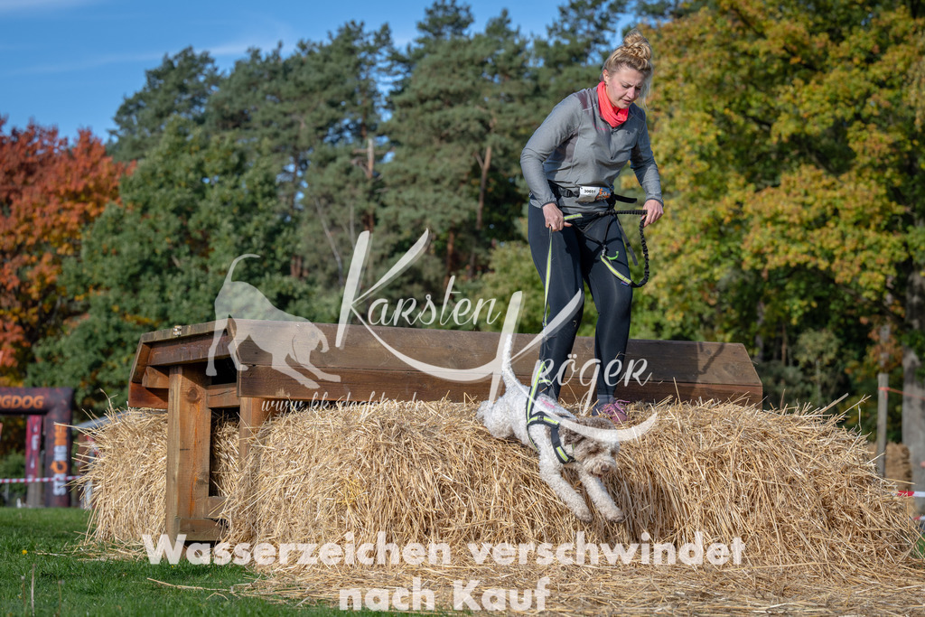 1034_ZZ91085 | kk-dogfotos