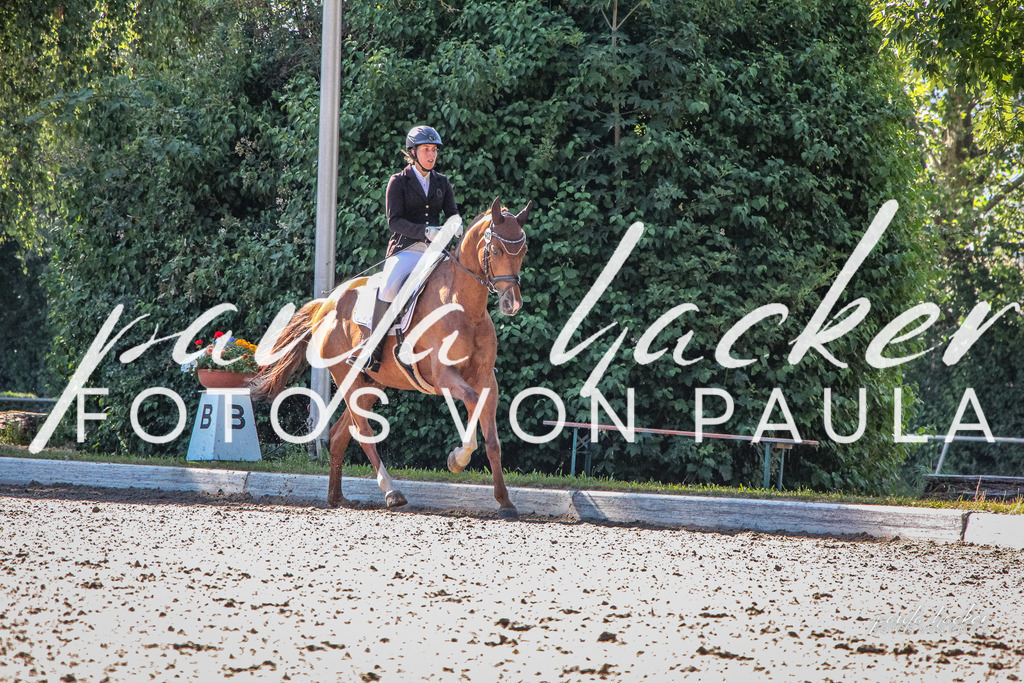 IMG_0151 | Erleben Sie dynamische Sport- und emotionale Tierfotografie in Süddeutschland mit Fotos von Paula. Spezialisiert auf Pferde- und Hundefotografie sowie Sportevents. Kontaktieren Sie mich für einzigartige und ausdrucksstarke Bilder Ihrer besonderen Momente. - Realisiert mit Pictrs.com