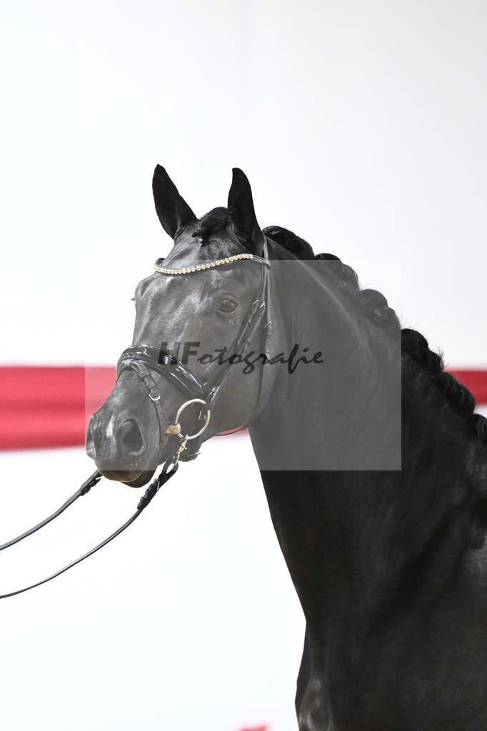 Kat-Nr. 69 v. Secret_Reich_63222051 | hf-fotografie - Realizzato con Pictrs.com