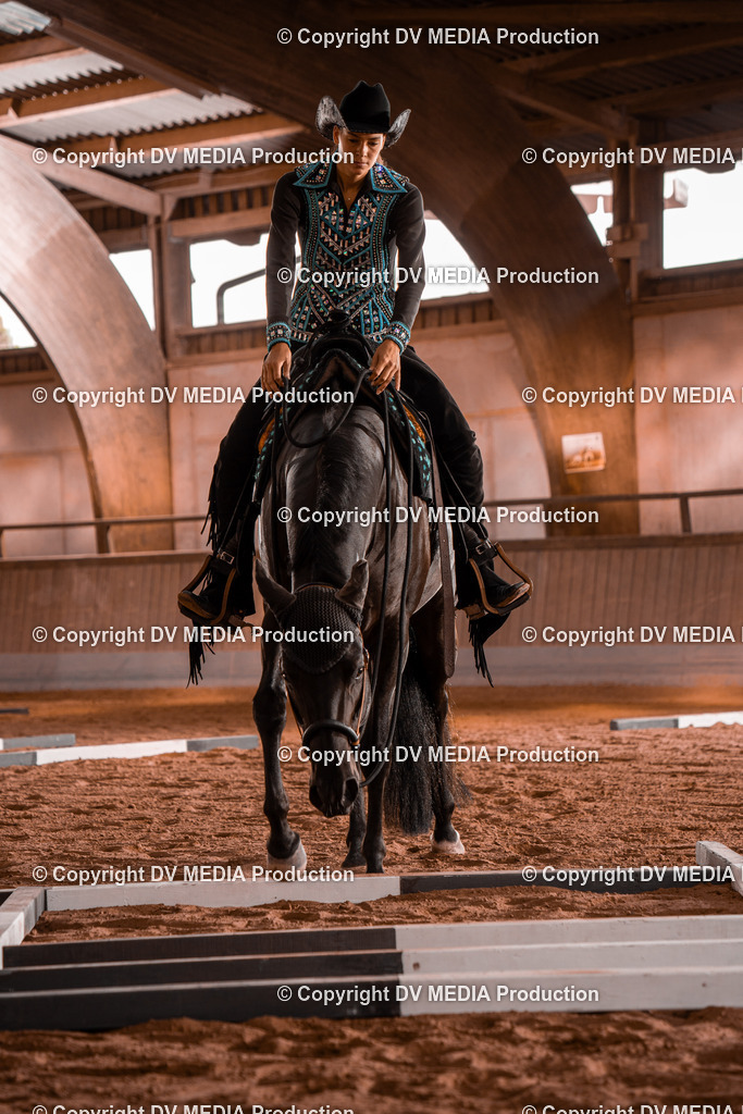 NE300033 | dv-media-shop - Realisiert mit Pictrs.com