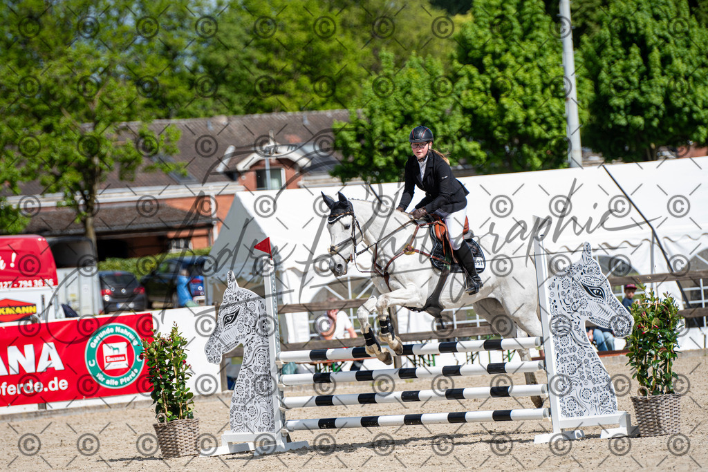 KPT_4977 | andre_photographic