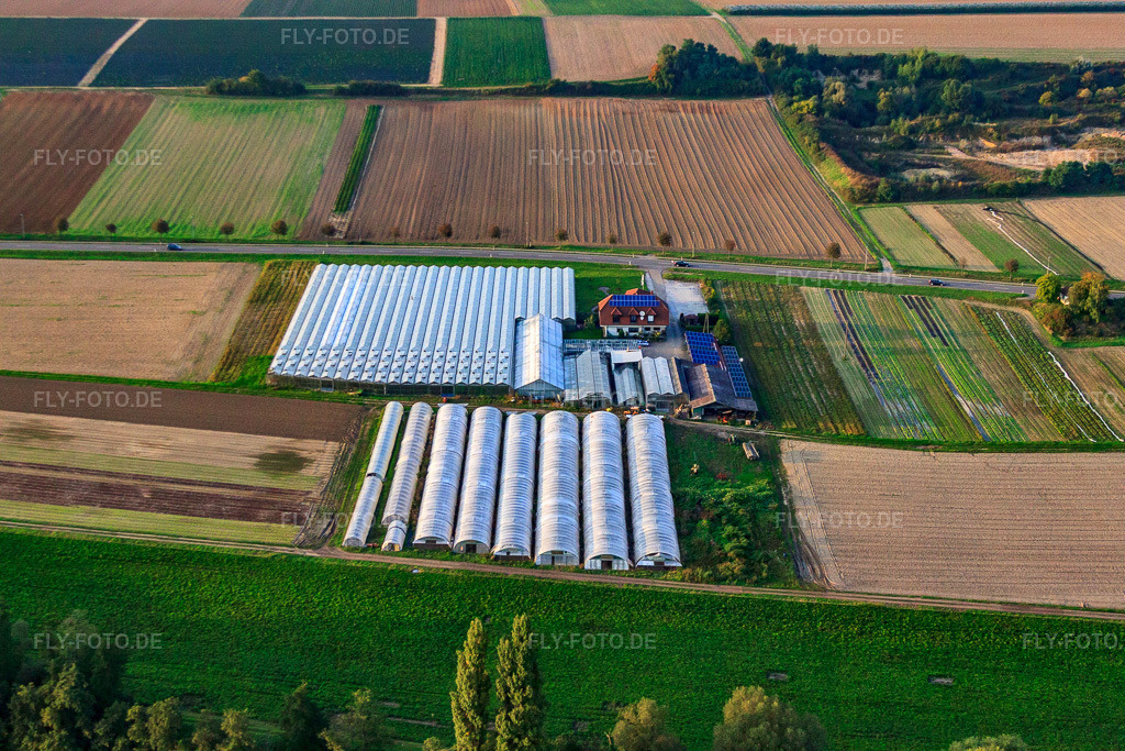 Luftbild: Sandhof mit Gärtnerei Rothenbücher in Herxheim bei Landau im Bundesland Rheinland-Pfalz in Deutschland. Foto: IMG_59963.jpg vom 27.09.2013 durch Werner Riehm/FLY-FOTO.de