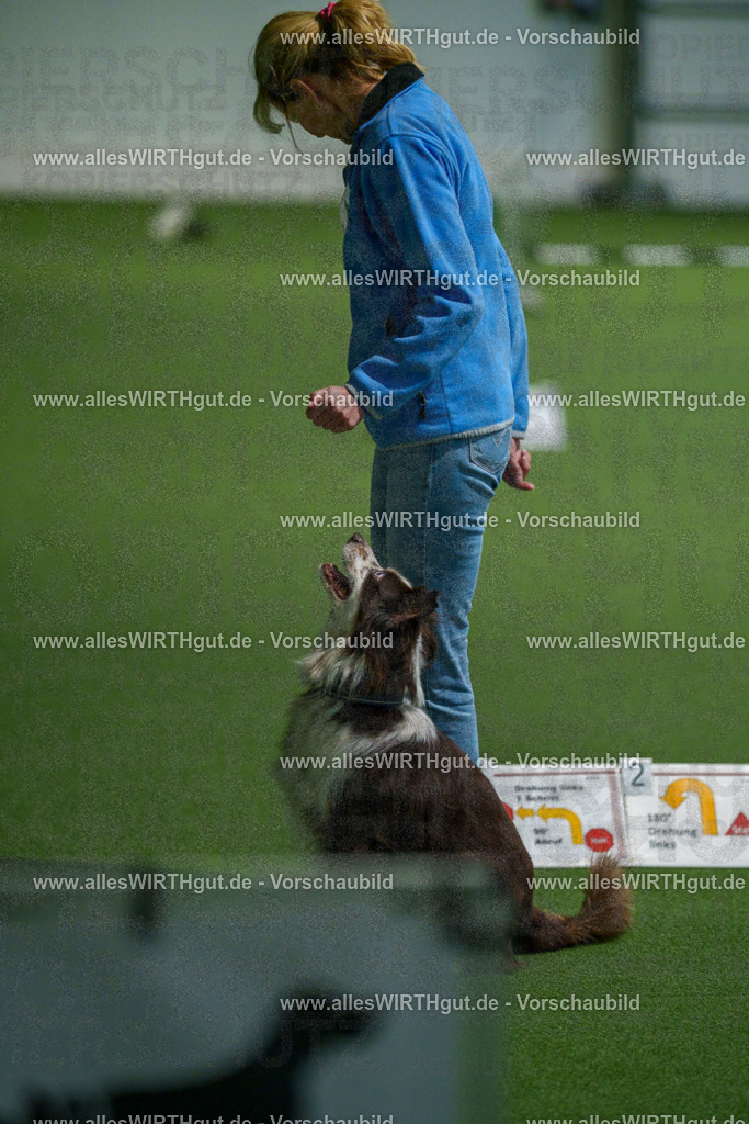 7R505034 | Professionelle Tierfotografie in Mönchengladbach von Daniel Wirth (allesWIRTHgut). Liebevolle & natürliche Bilder von Hunden & Katzen für unvergessliche Erinnerungen.