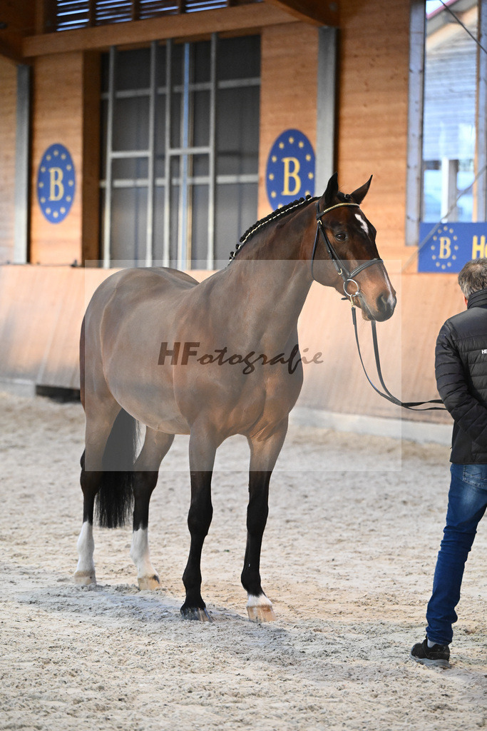 Vigaro_7240881 | hf-fotografie - Realisiert mit Pictrs.com