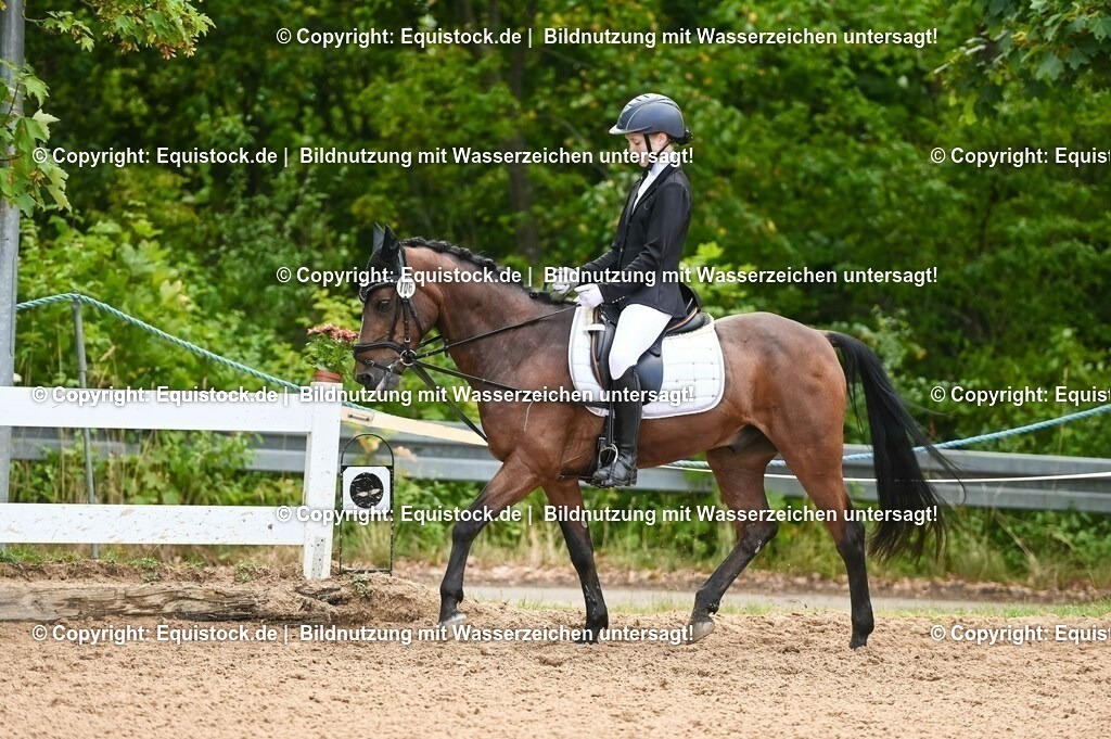 20230716_10-2_Reiter-WB Schritt - Trab - Galopp_0127 | equistock