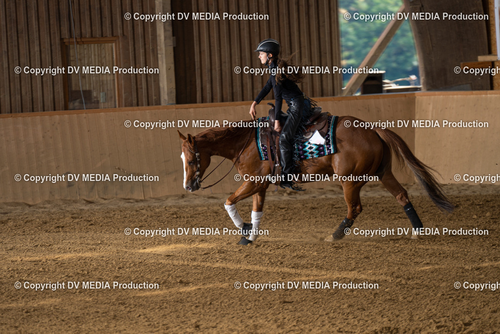 DSC00024 | dv-media-shop - Realisiert mit Pictrs.com