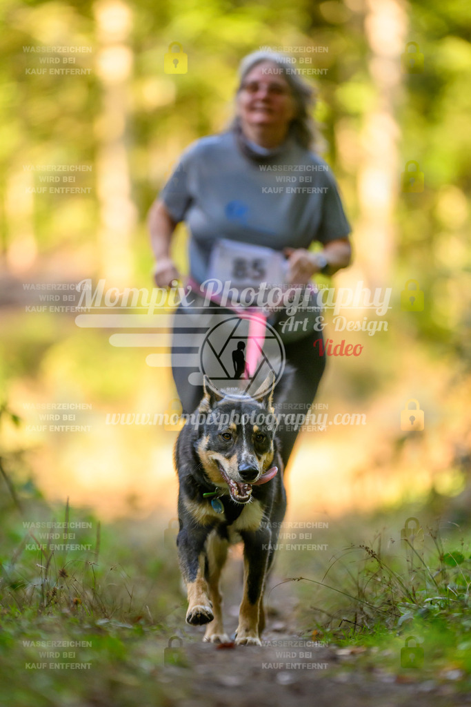 MompixPhotography_Yens2025_B3-155 | PayLife