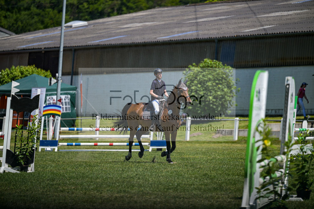 Reitturnier Voxtrup | Entdecke hochwertige Reitturnierfotos von Foto Oger. Professionell, emotional und authentisch – jetzt Lieblingsmomente im Shop bestellen.Deutschlandweite Turnierfotografie. - Realisiert mit Pictrs.com