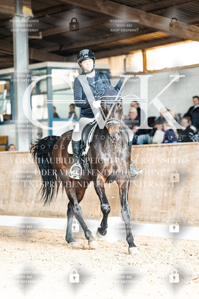 CK902362 | Turnierfotografie Pferdefotografie Trier Rheinland-Pfalz Pferdesport Reitsport Tierfotografie Sportfotografie Pferdevideo Pferdevideografie Equestrianvideography equestrianphotography  - Realisiert mit Pictrs.com