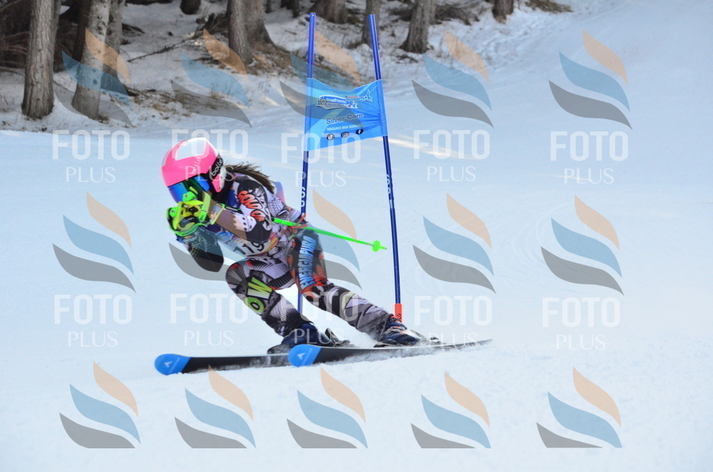 A6028 | holidayphoto