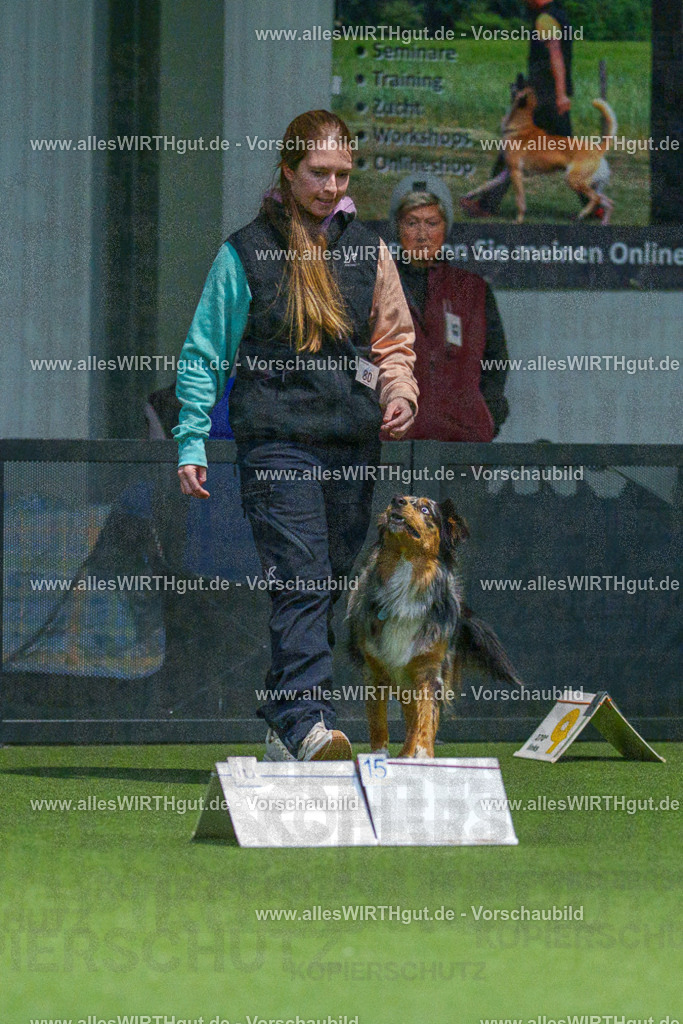 7R507697 | Professionelle Tierfotografie in Mönchengladbach von Daniel Wirth (allesWIRTHgut). Liebevolle & natürliche Bilder von Hunden & Katzen für unvergessliche Erinnerungen.