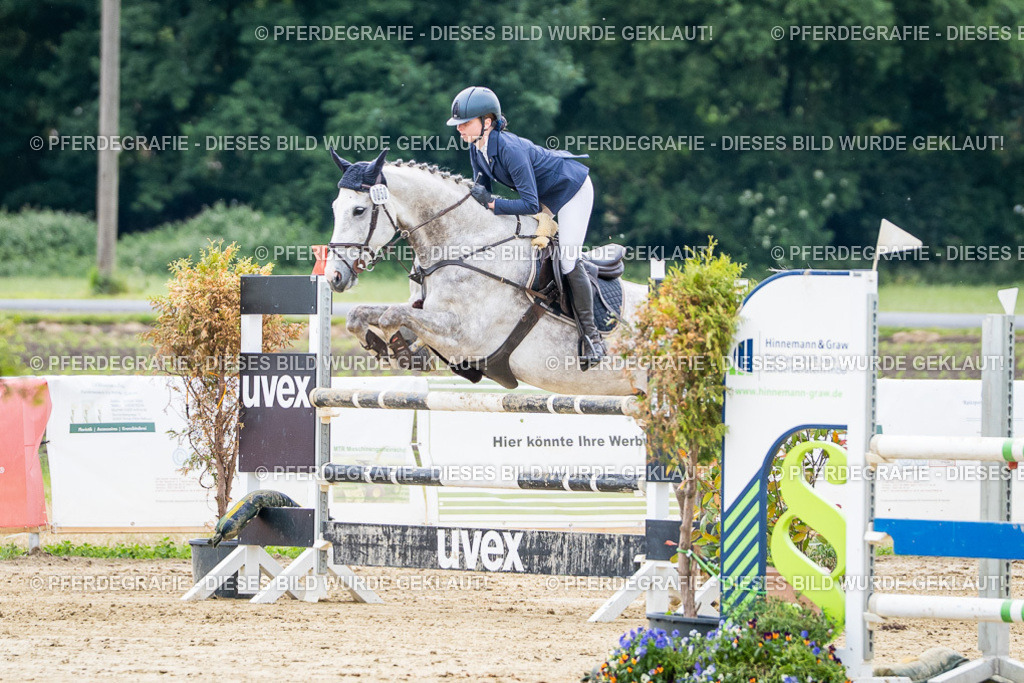 DSC05251 | Pferdegrafie