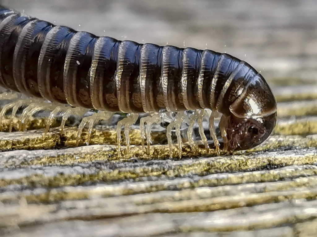 PSX_20230911_223459 | mtkfoto_ - Realisiert mit Pictrs.com