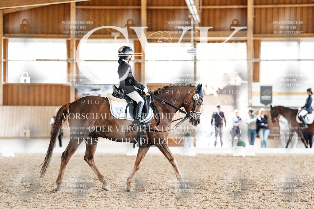 CK901712 | Turnierfotografie Pferdefotografie Trier Rheinland-Pfalz Pferdesport Reitsport Tierfotografie Sportfotografie Pferdevideo Pferdevideografie Equestrianvideography equestrianphotography  - Realisiert mit Pictrs.com
