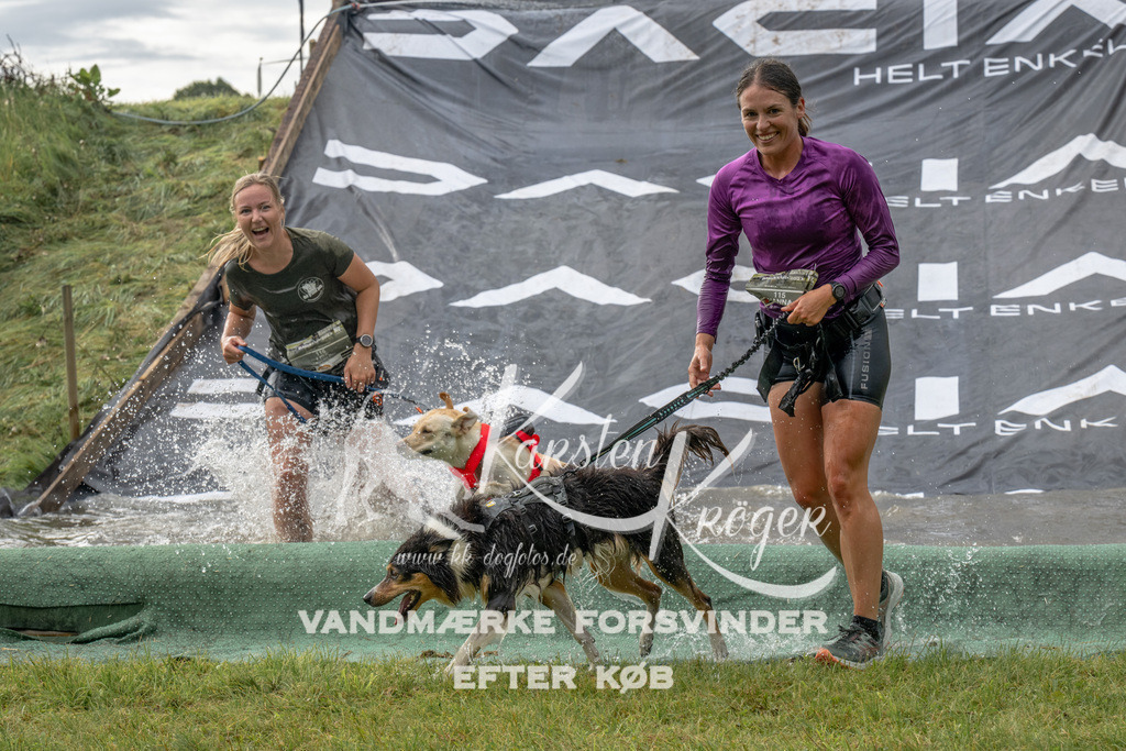 1140_ZZ93290 | kk-dogfotos