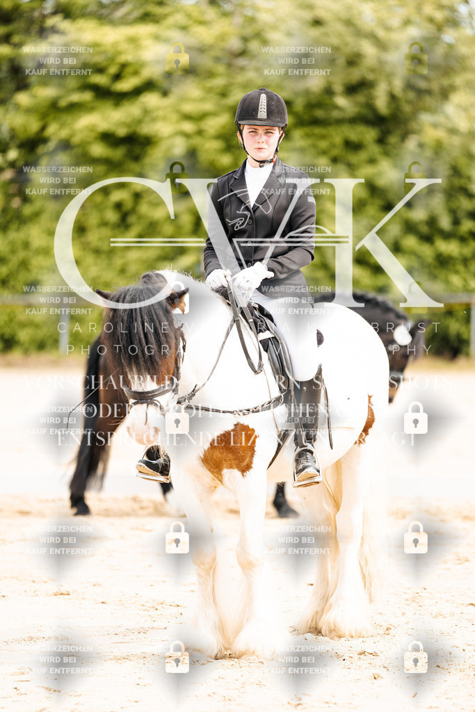 CK904408 | Turnierfotografie Pferdefotografie Trier Rheinland-Pfalz Pferdesport Reitsport Tierfotografie Sportfotografie Pferdevideo Pferdevideografie Equestrianvideography equestrianphotography  - Realisiert mit Pictrs.com