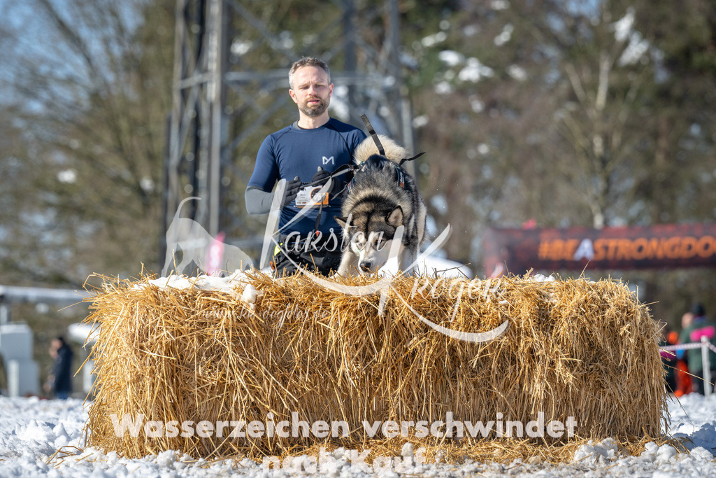 1207_ZZ92033-4 | kk-dogfotos
