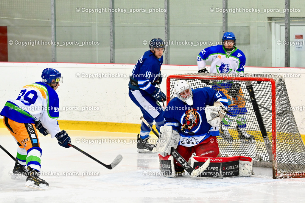  EC Tigers Paternion vs. EC Virgen 8.1.2022 | #21 Lesacher Jürgen, #18 Kampitsch Andreas, #87 Holzer Kevin, #89 Gasser Arno, Tor EC Virgen