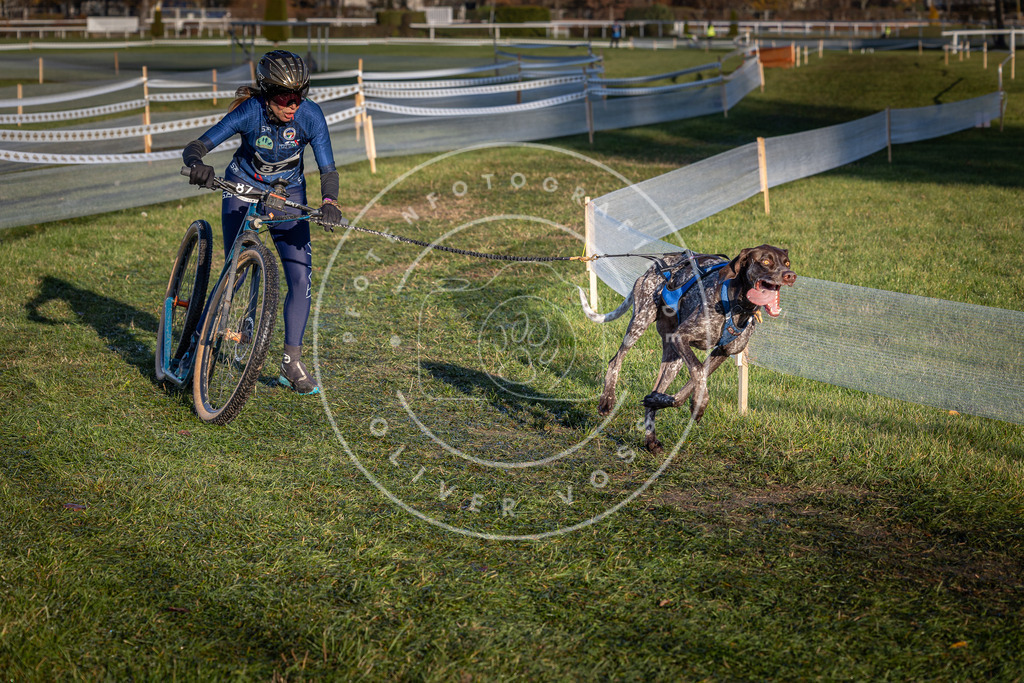 CaniXpix_0L8A3826 | Hundefotografie, Tierfotograf, Pfotenfotografie, Fotoshooting Hund, Hunde Portrait, Hundesport, Hundeportraits, Heideshooting, Hunde, Sportfotograf, Hundefotograf, Turnierhundsport, THS,  - Realisiert mit Pictrs.com