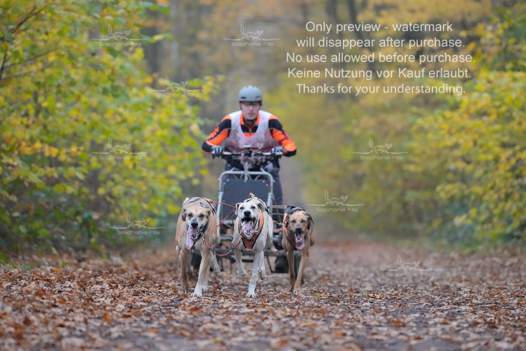 Rigs4bis8So-17 | stephaniefillaphotographie - Realisiert mit Pictrs.com