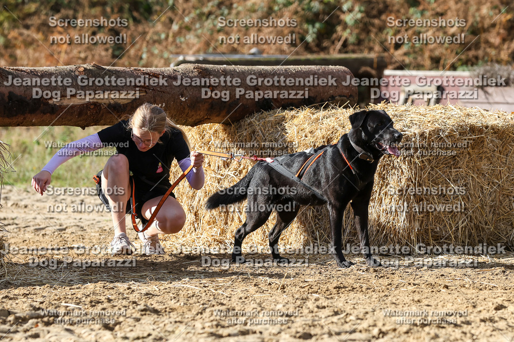 Dog Paparazzi - Strongdog 10-25-4925 | Dog Paparazzi Jeanette Grottendiek Fotografie & Videografie - Realisiert mit Pictrs.com